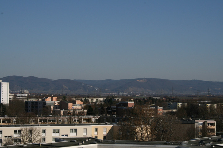 Ausblick